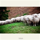 dailyPhoto32