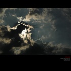 dailyPhoto9