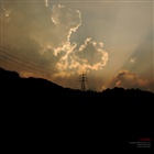 dailyPhoto10