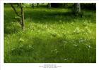 dailyPhoto6
