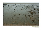 dailyPhoto20
