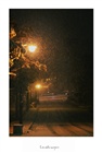dailyPhoto17