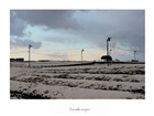 dailyPhoto1