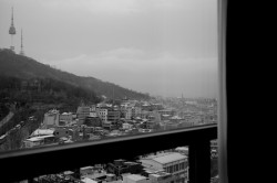 dailyPhoto1