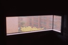 dailyPhoto31