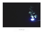 dailyPhoto2