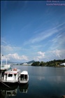 dailyPhoto4