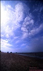 dailyPhoto11