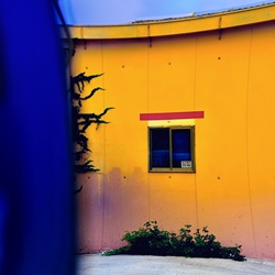 dailyPhoto22