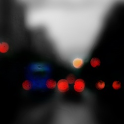 dailyPhoto15