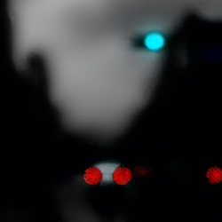 dailyPhoto32