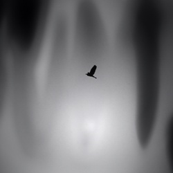 dailyPhoto34