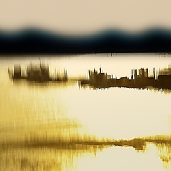dailyPhoto1