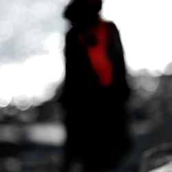 dailyPhoto35