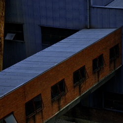 dailyPhoto1
