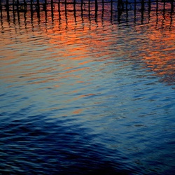 dailyPhoto21