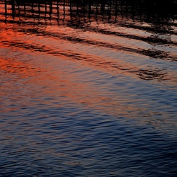 dailyPhoto5