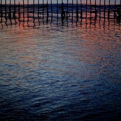 dailyPhoto5