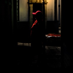 dailyPhoto11