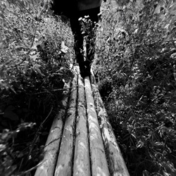 dailyPhoto9