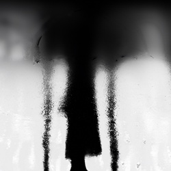 dailyPhoto38