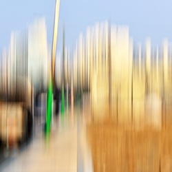 dailyPhoto3