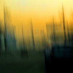 dailyPhoto32