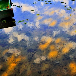 dailyPhoto5