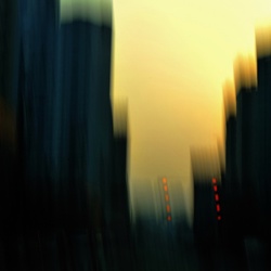 dailyPhoto19