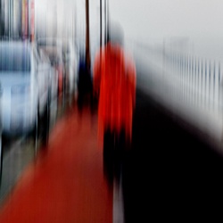 dailyPhoto13
