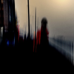 dailyPhoto4