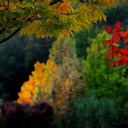 dailyPhoto25