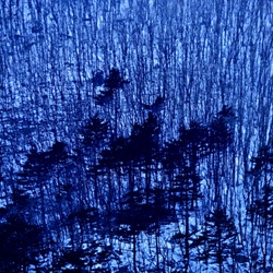 dailyPhoto22