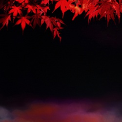 dailyPhoto20