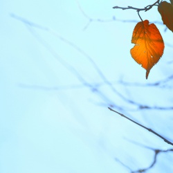 dailyPhoto40