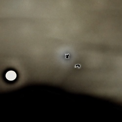 dailyPhoto25