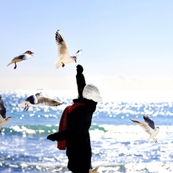 dailyPhoto9