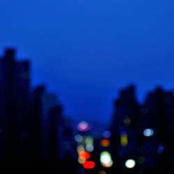 dailyPhoto18