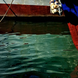 dailyPhoto21