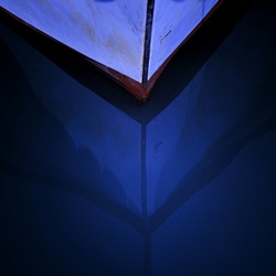 dailyPhoto19