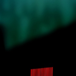 dailyPhoto36