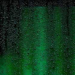 dailyPhoto25