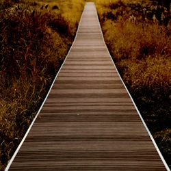 dailyPhoto6