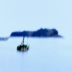 dailyPhoto39