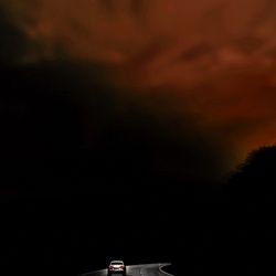 dailyPhoto15