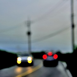 dailyPhoto26