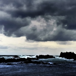 dailyPhoto40