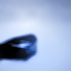 dailyPhoto9