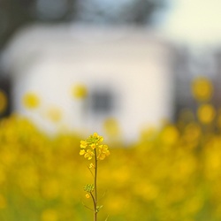 dailyPhoto25