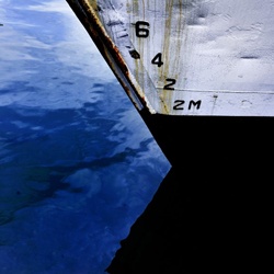 dailyPhoto39